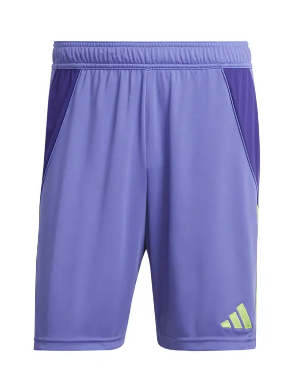 ADIDAS PERFORMANCE ADIDAS PERFORMANCE Sportske hlače 'Tiro 24'  svijetlozelena / ljubičasta / ljubičasto plava