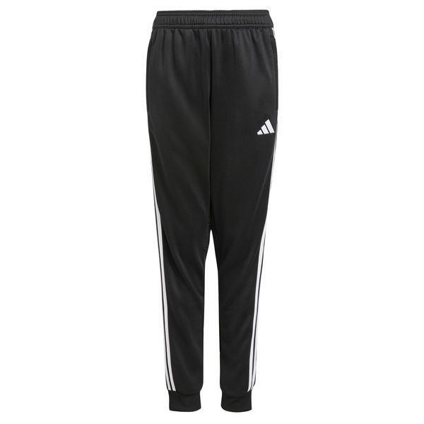 ADIDAS PERFORMANCE ADIDAS PERFORMANCE Sportske hlače 'Tiro 25'  crna / bijela