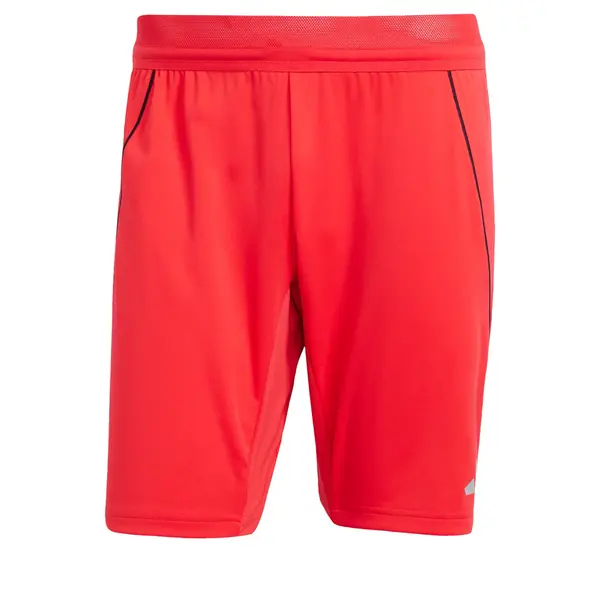 ADIDAS PERFORMANCE ADIDAS PERFORMANCE Sportske hlače 'Tiro 25 Pro'  siva / svijetlocrvena / crna