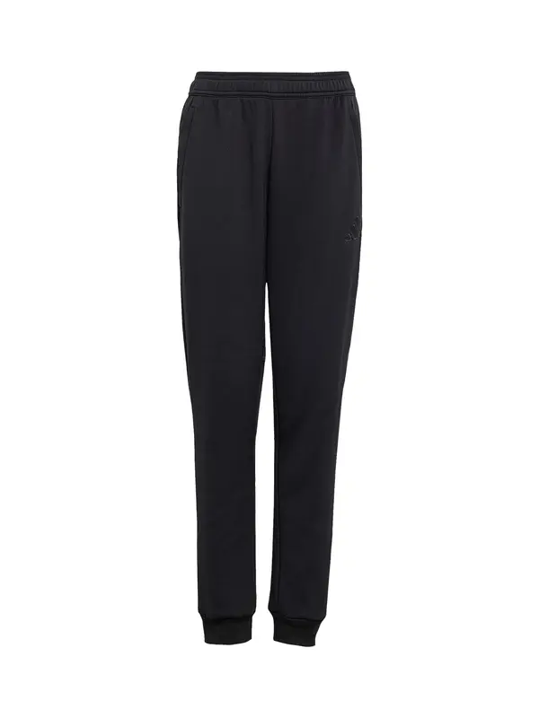 ADIDAS PERFORMANCE ADIDAS PERFORMANCE Sportske hlače 'Tiro 25 Travel'  crna