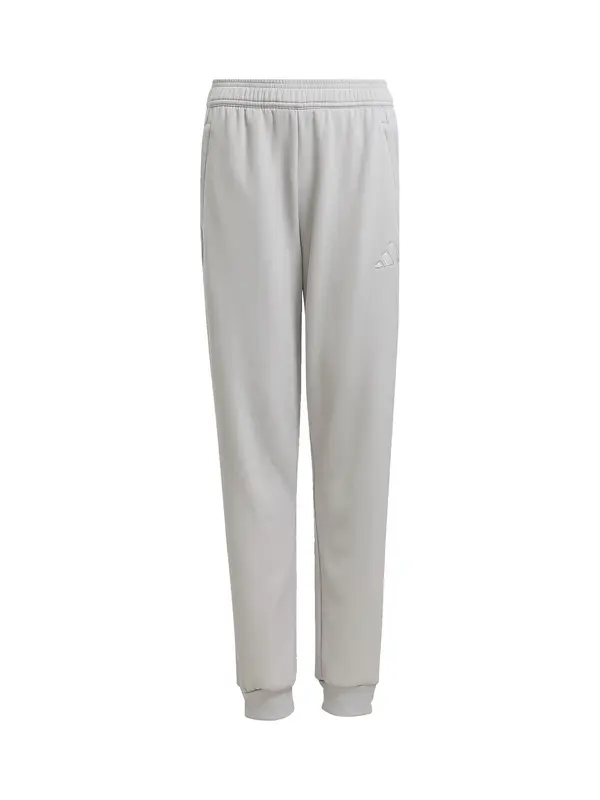 ADIDAS PERFORMANCE ADIDAS PERFORMANCE Sportske hlače 'Tiro 25 Travel'  siva