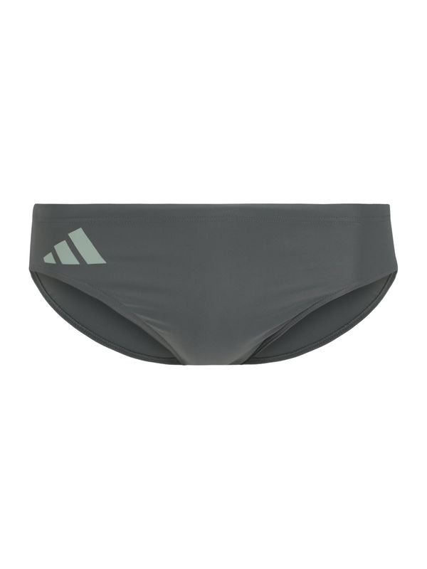 ADIDAS PERFORMANCE ADIDAS PERFORMANCE Sportske kupaće gaće  tamo siva / menta