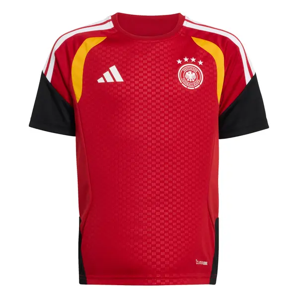 ADIDAS PERFORMANCE ADIDAS PERFORMANCE Tehnička sportska majica 'DFB TR JSYY'  crvena