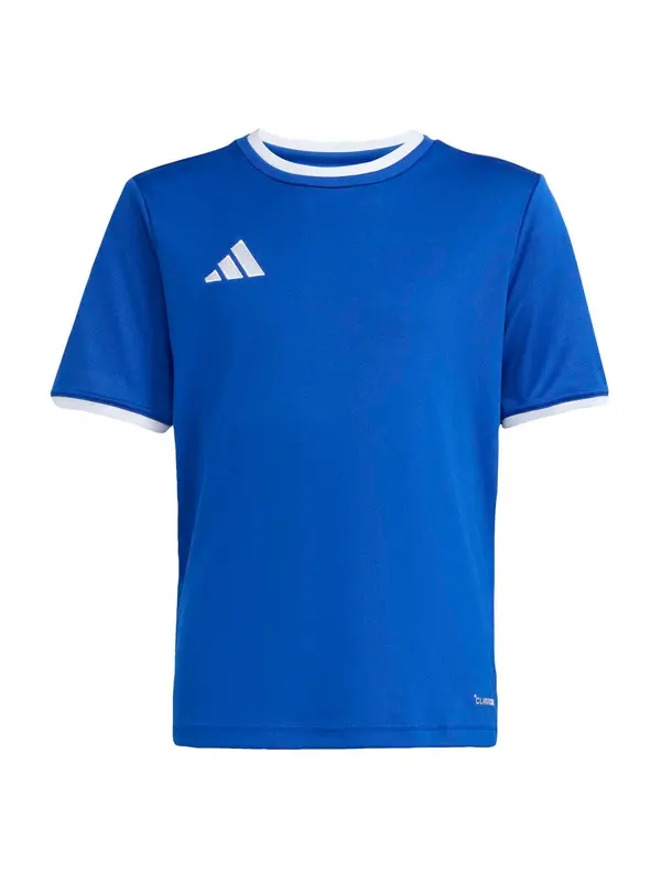 ADIDAS PERFORMANCE ADIDAS PERFORMANCE Tehnička sportska majica 'ENT26'  kraljevsko plava / bijela