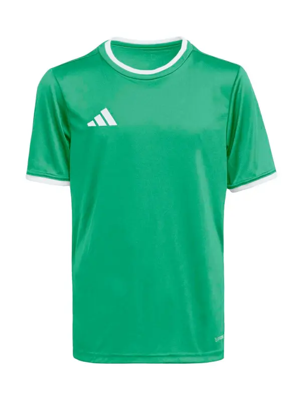 ADIDAS PERFORMANCE ADIDAS PERFORMANCE Tehnička sportska majica 'ENT26'  zelena / bijela