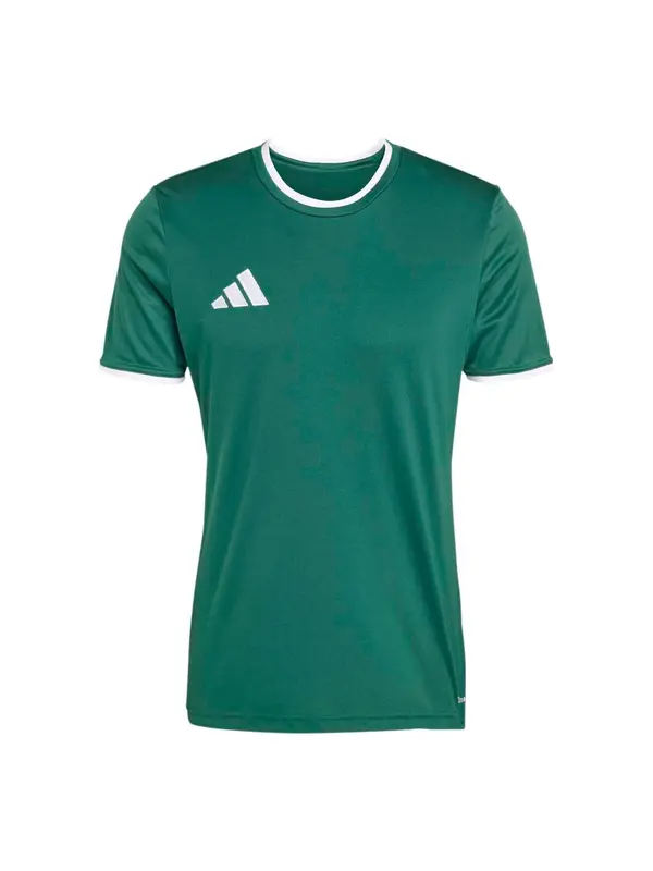 ADIDAS PERFORMANCE ADIDAS PERFORMANCE Tehnička sportska majica 'ENT26'  zelena / bijela