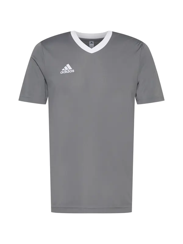 ADIDAS PERFORMANCE ADIDAS PERFORMANCE Tehnička sportska majica 'Entrada 22'  svijetlosiva / bijela