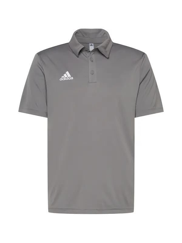 ADIDAS PERFORMANCE ADIDAS PERFORMANCE Tehnička sportska majica 'Entrada 22'  tamo siva / bijela