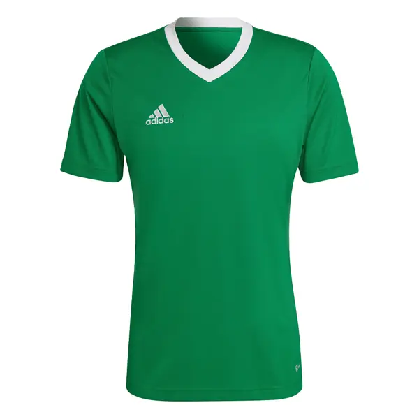 ADIDAS PERFORMANCE ADIDAS PERFORMANCE Tehnička sportska majica 'Entrada 22'  travnato zelena / bijela