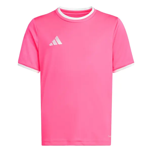 ADIDAS PERFORMANCE ADIDAS PERFORMANCE Tehnička sportska majica 'Entrada26'  roza