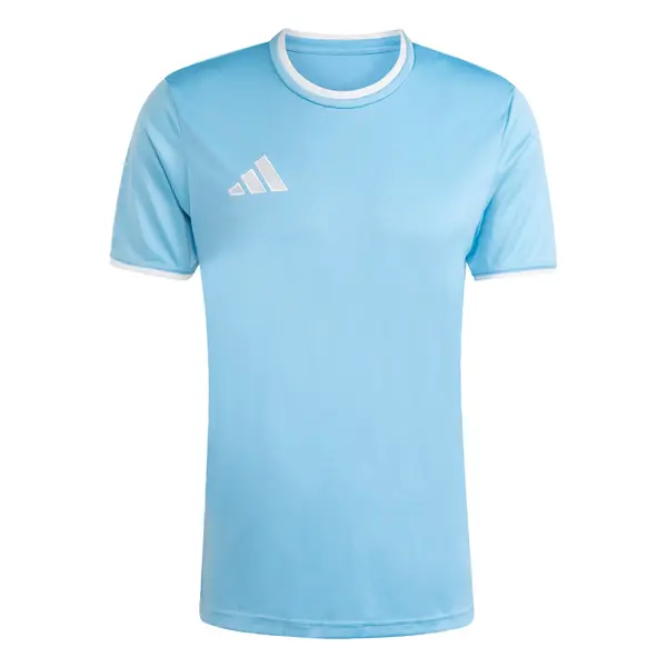 ADIDAS PERFORMANCE ADIDAS PERFORMANCE Tehnička sportska majica 'Entrada26'  svijetloplava / bijela