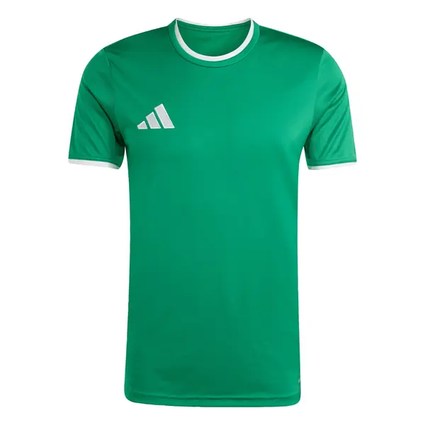 ADIDAS PERFORMANCE ADIDAS PERFORMANCE Tehnička sportska majica 'Entrada26'  zelena