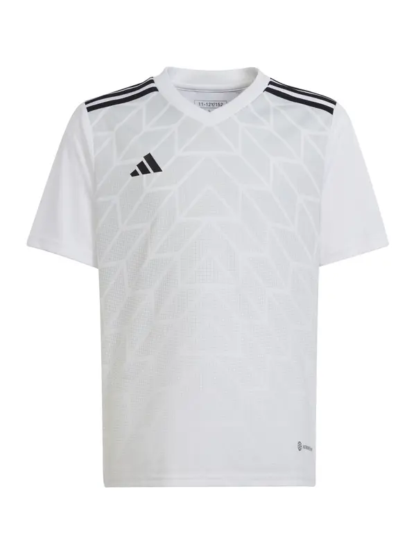 ADIDAS PERFORMANCE ADIDAS PERFORMANCE Tehnička sportska majica  siva / crna / bijela