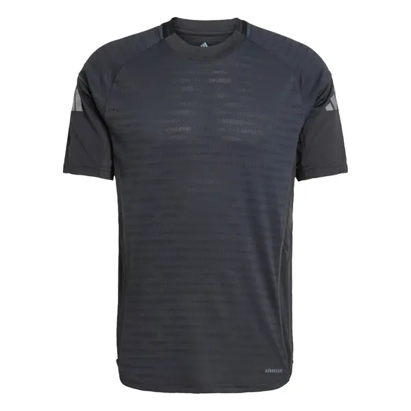 ADIDAS PERFORMANCE ADIDAS PERFORMANCE Tehnička sportska majica 'Tiro 25 Pro'  antracit siva / svijetlosiva / crna