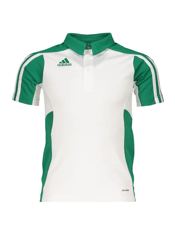 ADIDAS PERFORMANCE ADIDAS PERFORMANCE Tehnička sportska majica  zelena / bijela