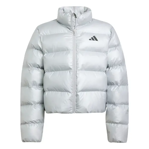 ADIDAS SPORTSWEAR ADIDAS SPORTSWEAR Sportska jakna  crna / srebro
