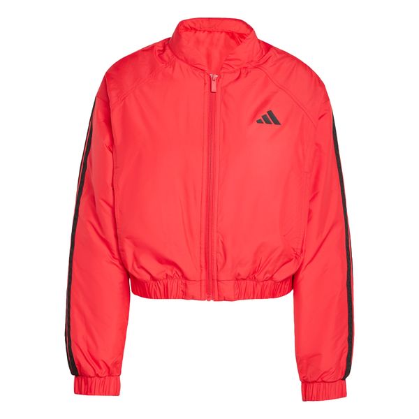 ADIDAS SPORTSWEAR ADIDAS SPORTSWEAR Sportska jakna 'Essentials'  crvena / crna