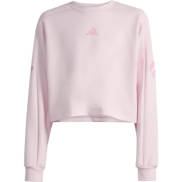 ADIDAS SPORTSWEAR ADIDAS SPORTSWEAR Sportska sweater majica  prljavo roza