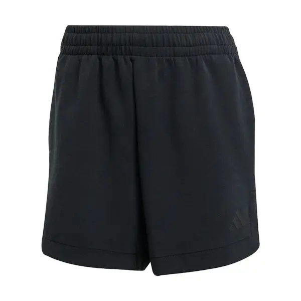 ADIDAS SPORTSWEAR ADIDAS SPORTSWEAR Sportske hlače 'All Szn'  crna