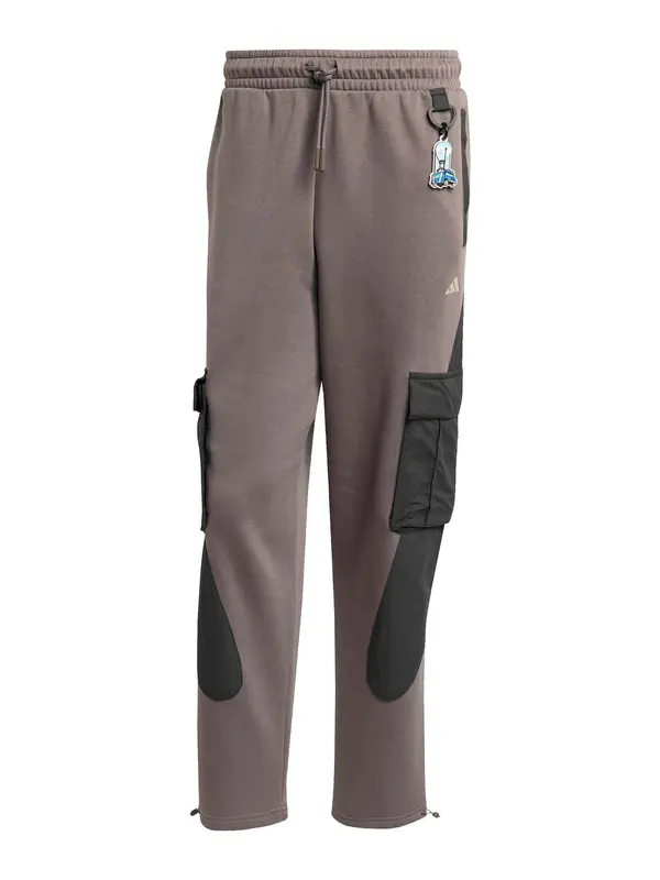 ADIDAS SPORTSWEAR ADIDAS SPORTSWEAR Sportske hlače  brokat / crna