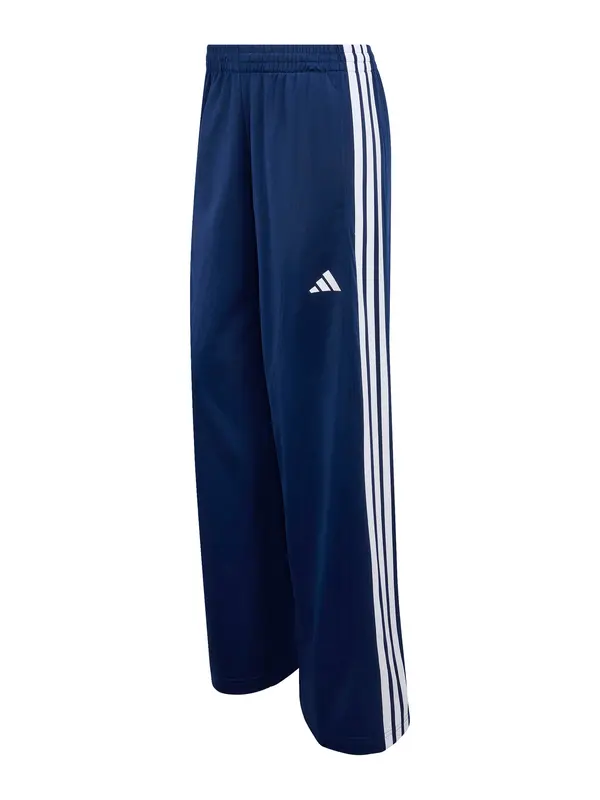 ADIDAS SPORTSWEAR ADIDAS SPORTSWEAR Sportske hlače 'DAYREADY'  tamno plava / bijela