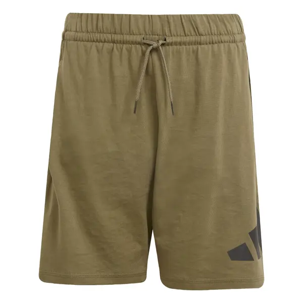 ADIDAS SPORTSWEAR ADIDAS SPORTSWEAR Sportske hlače 'Essentials'  kaki / crna