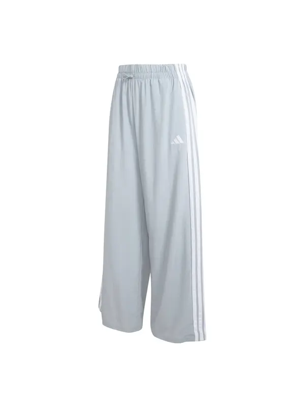 ADIDAS SPORTSWEAR ADIDAS SPORTSWEAR Sportske hlače 'Essentials'  svijetlosiva / bijela