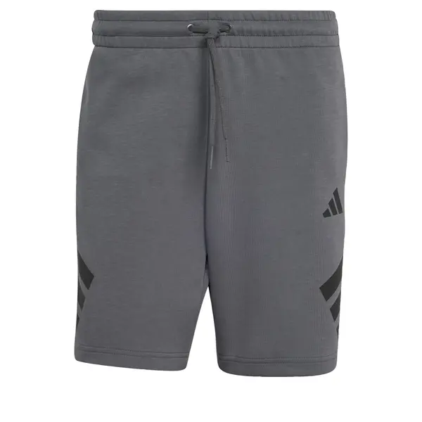 ADIDAS SPORTSWEAR ADIDAS SPORTSWEAR Sportske hlače 'Future Icons'  siva / crna