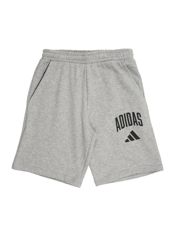 ADIDAS SPORTSWEAR ADIDAS SPORTSWEAR Sportske hlače 'Seasonals Collegiate'  siva melange / crna