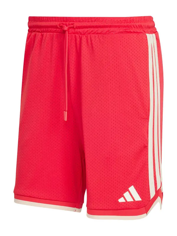 ADIDAS SPORTSWEAR ADIDAS SPORTSWEAR Sportske hlače 'Stadium'  crvena / bijela