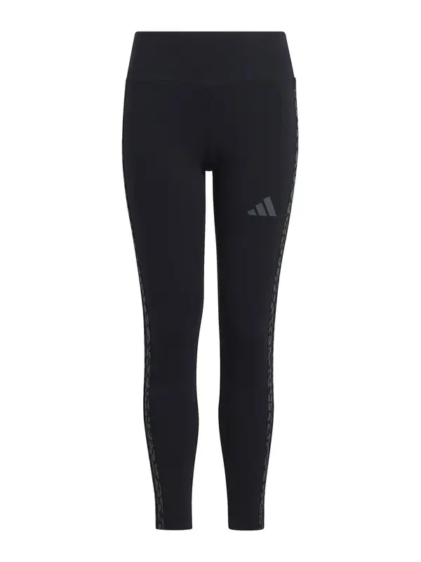 ADIDAS SPORTSWEAR ADIDAS SPORTSWEAR Sportske hlače  tamo siva / crna