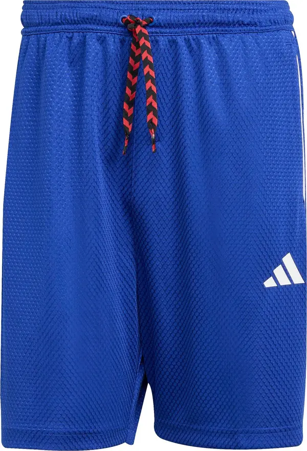 ADIDAS SPORTSWEAR ADIDAS SPORTSWEAR Sportske hlače 'TIRO'  plava / crvena / bijela