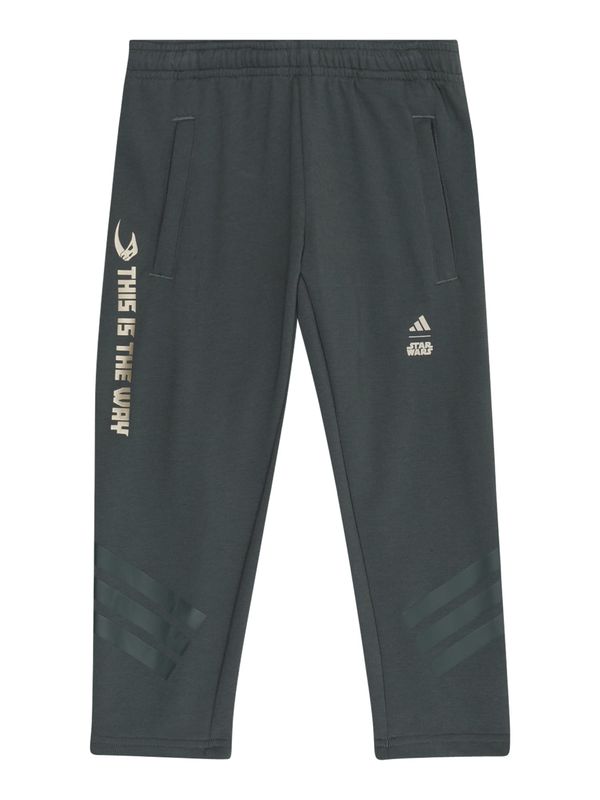 ADIDAS SPORTSWEAR ADIDAS SPORTSWEAR Sportske hlače  zlatna / antracit siva