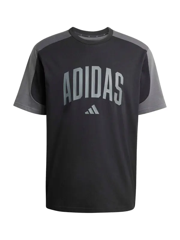 ADIDAS SPORTSWEAR ADIDAS SPORTSWEAR Tehnička sportska majica 'COLLEGIATE'  grafit siva / crna