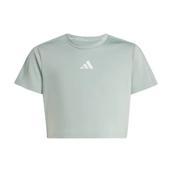 ADIDAS SPORTSWEAR ADIDAS SPORTSWEAR Tehnička sportska majica 'Train Essentials Seasonal'  pastelno zelena / bijela