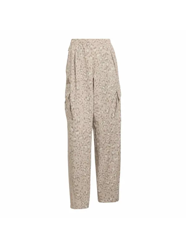 ADIDAS TERREX ADIDAS TERREX Hlače za vanjske uvjete  bež / boja pijeska / taupe siva