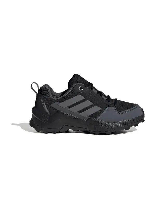 ADIDAS TERREX ADIDAS TERREX Niske cipele 'AX4R'  antracit siva / crna
