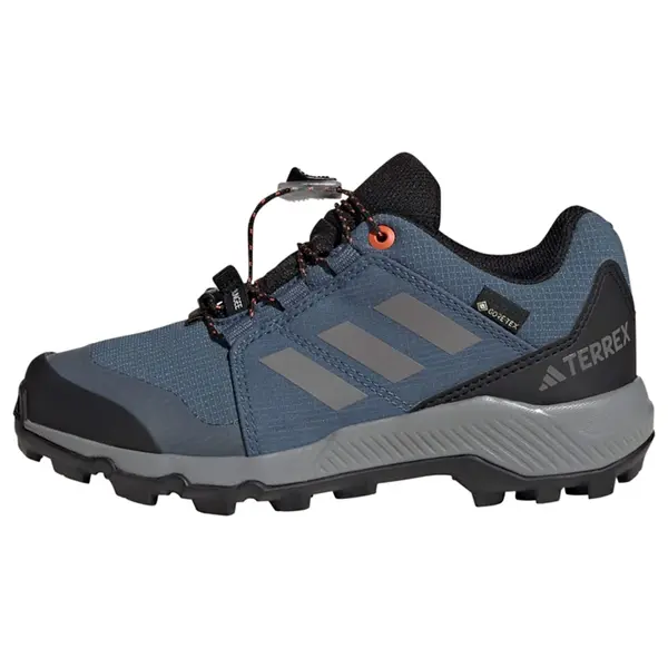 ADIDAS TERREX ADIDAS TERREX Niske cipele 'GORE-TEX Hiking'  morsko plava / kameno siva / crna