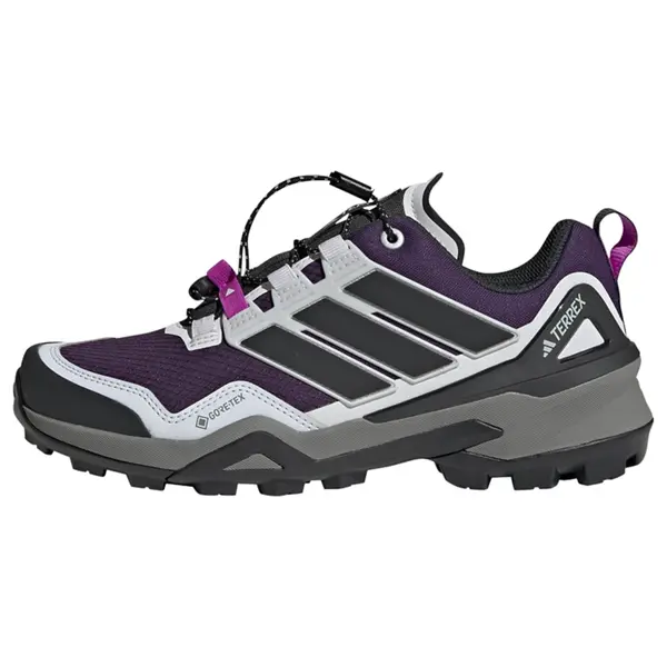 ADIDAS TERREX ADIDAS TERREX Niske cipele 'Skychaser'  svijetlosiva / tamno ljubičasta / crna
