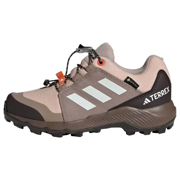 ADIDAS TERREX ADIDAS TERREX Niske cipele  smeđa / siva / crna