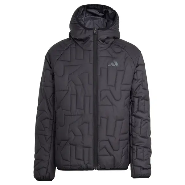 ADIDAS TERREX ADIDAS TERREX Outdoor jakna 'Xperior'  siva / crna