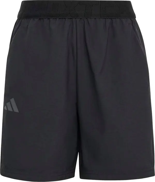 ADIDAS TERREX ADIDAS TERREX Sportske hlače  tamo siva / crna / bijela