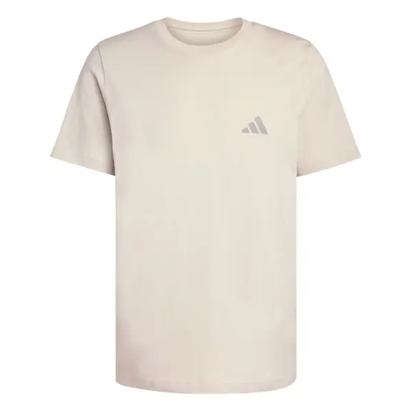 ADIDAS TERREX ADIDAS TERREX Tehnička sportska majica 'Mountain'  sivkasto bež / siva
