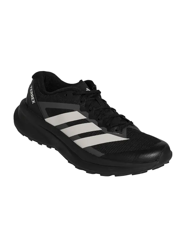 ADIDAS TERREX ADIDAS TERREX Tenisice za trčanje  antracit siva / svijetlosiva / crna