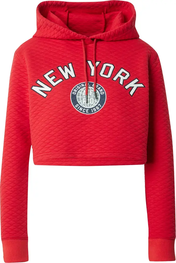 AÉROPOSTALE AÉROPOSTALE Sweater majica  mornarsko plava / siva / crvena / bijela