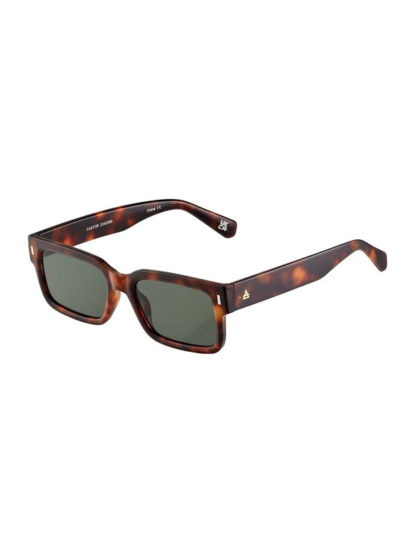 Aire Aire Sunčane naočale 'CASTOR'  smeđa / tamno smeđa
