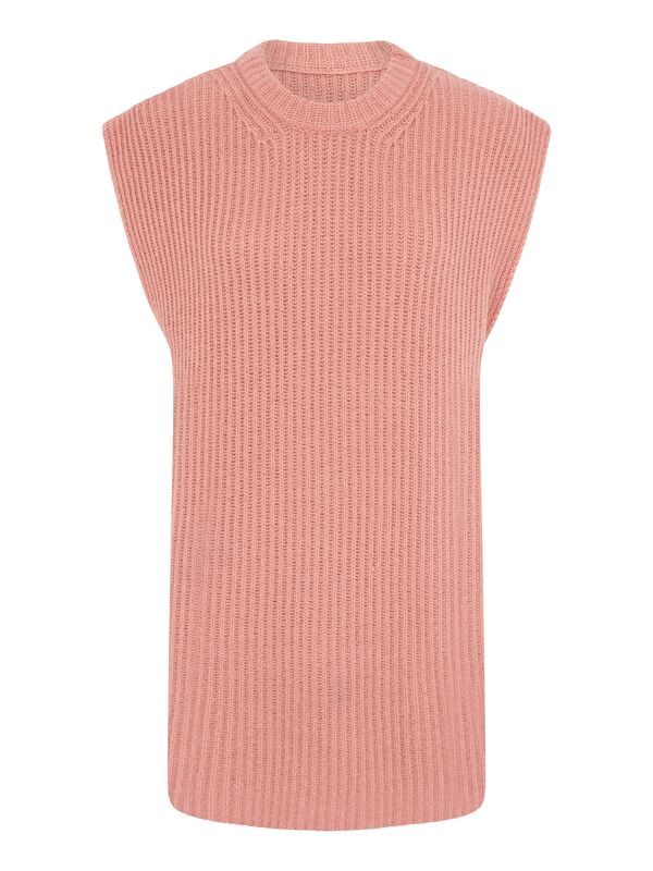 Aligne Aligne Pulover 'Evelyn'  prljavo roza