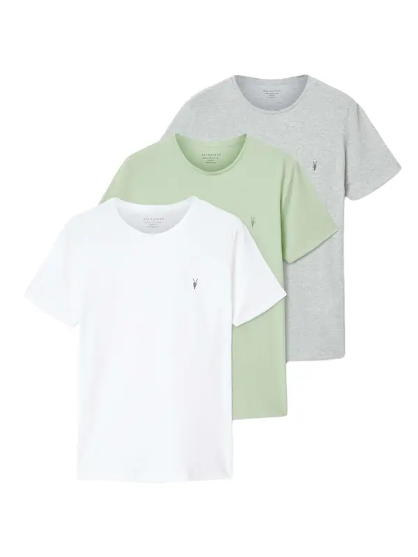 AllSaints AllSaints Majica 'TONIC'  svijetlosiva / pastelno zelena / bijela