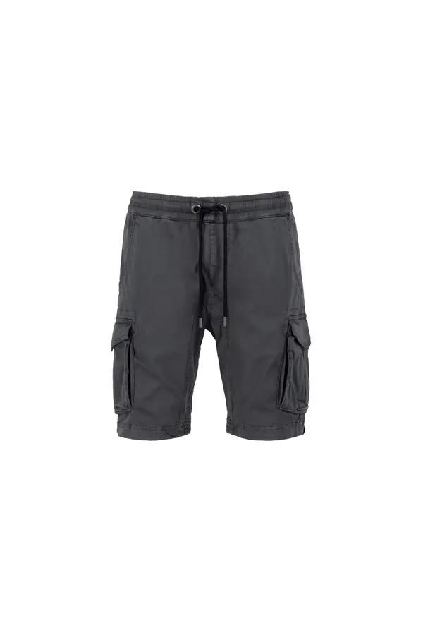 ALPHA INDUSTRIES ALPHA INDUSTRIES Cargo hlače  grafit siva
