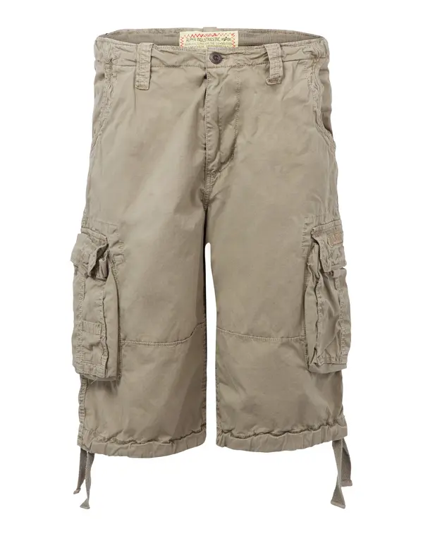 ALPHA INDUSTRIES ALPHA INDUSTRIES Cargo hlače 'Jet'  tamno bež